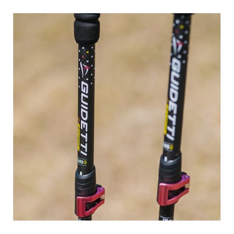 Hiking poles Guidetti BLight alu-carbon Rubis