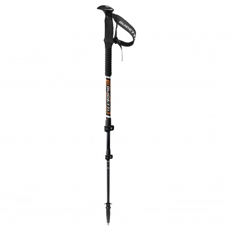 Ski poles Guidetti Horizon 3