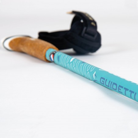 Nordic walking poles Guidetti Vent des Fjords UT50 Nordic walking poles Guidetti Vent des Fjords UT50