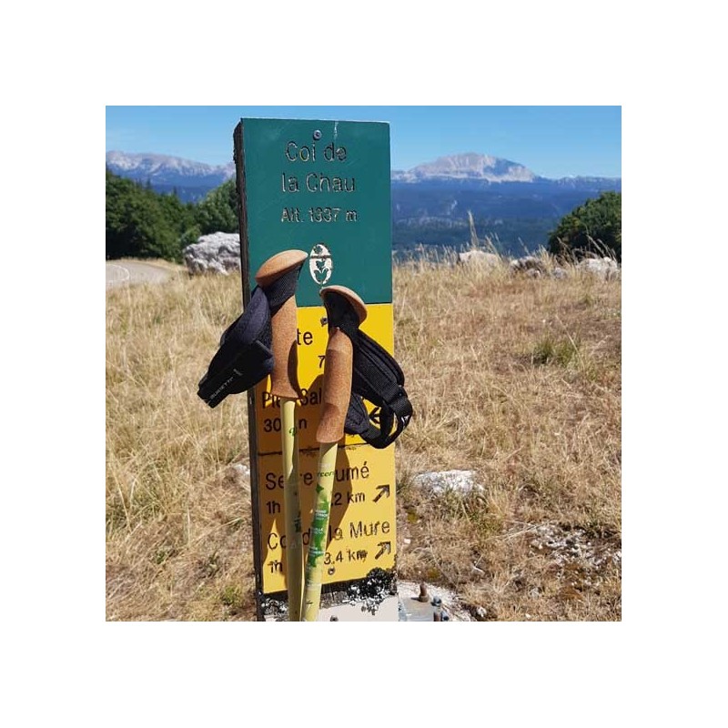 Hiking poles Vercors Guidetti