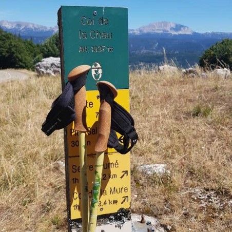 Hiking poles Vercors Guidetti