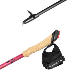 Pointe et poignée de bâton de ski