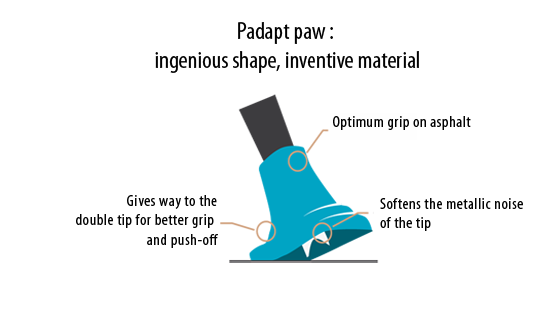 Padapt paw for Nordic walking poles