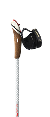 Bâton de marche nordique