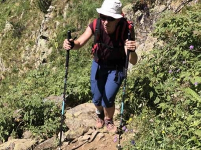 Why walk with sticks?